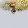 Hiraola's Product Image