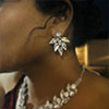 Hiraola's Product Image
