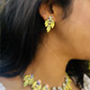 Hiraola's Product Image