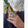 Hiraola's Product Image