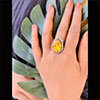 Hiraola's Product Image