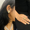 Hiraola's Product Image