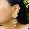 Hiraola's Product Image