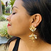 Hiraola's Product Image
