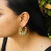 Hiraola's Product Image