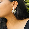 Hiraola's Product Image