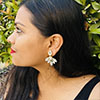 Hiraola's Product Image