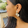 Hiraola's Product Image