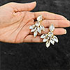 Hiraola's Product Image