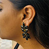 Hiraola's Product Image