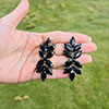 Hiraola's Product Image