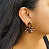 Hiraola's Product Image