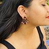 Hiraola's Product Image