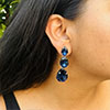 Hiraola's Product Image