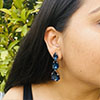 Hiraola's Product Image