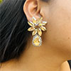 Hiraola's Product Image