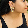 Hiraola's Product Image