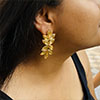 Hiraola's Product Image