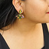 Hiraola's Product Image