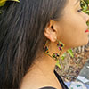 Hiraola's Product Image