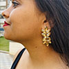 Hiraola's Product Image