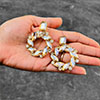 Hiraola's Product Image
