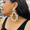 Hiraola's Product Image
