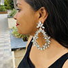 Hiraola's Product Image