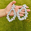 Hiraola's Product Image