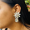 Hiraola's Product Image