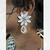 Hiraola's Product Image