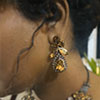 Hiraola's Product Image
