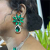 Hiraola's Product Image
