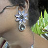 Hiraola's Product Image
