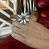 Hiraola's Product Image
